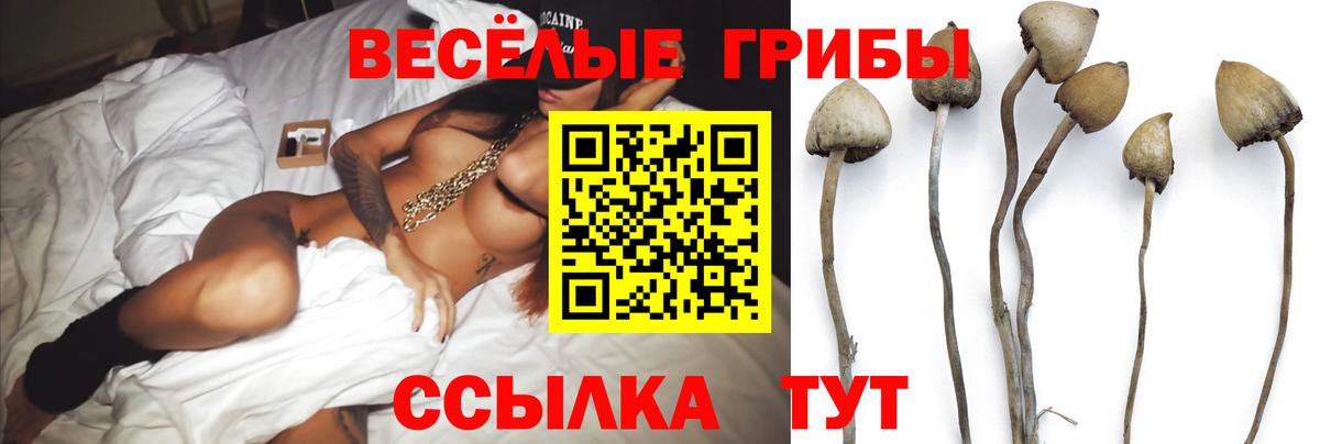 Галлюциногенные грибы мицелий Печора